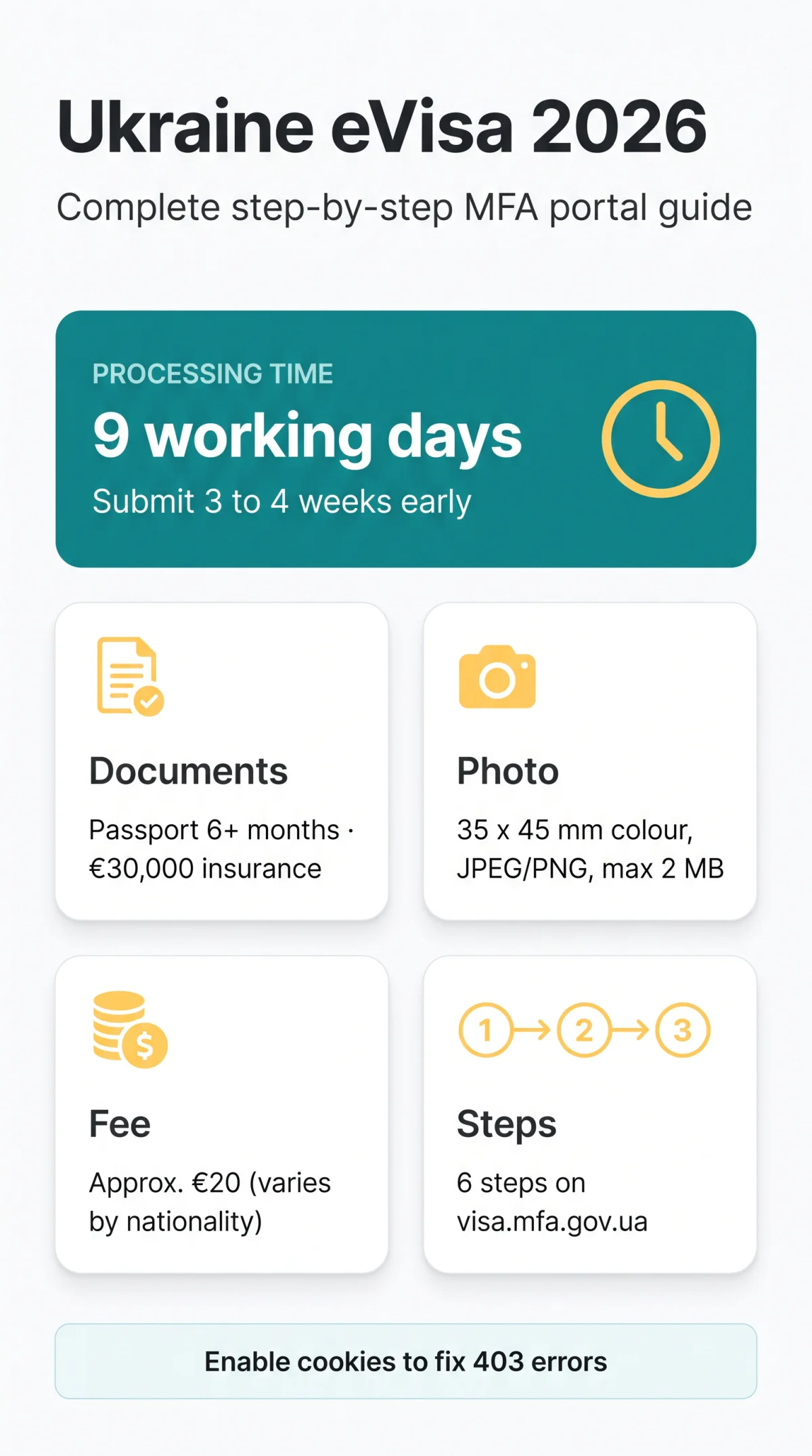 Infografika: Ukraine eVisa Application Process: Complete Step-by-Step Guide for 2026